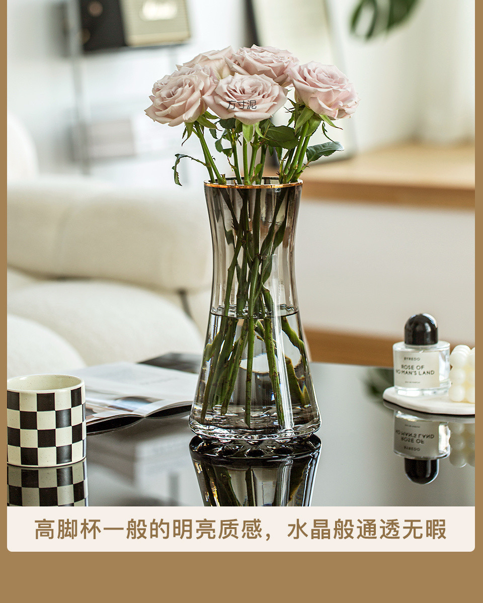 简约轻奢加厚ins风透明玻璃花瓶水养富贵竹鲜花插花客厅摆件批发详情25