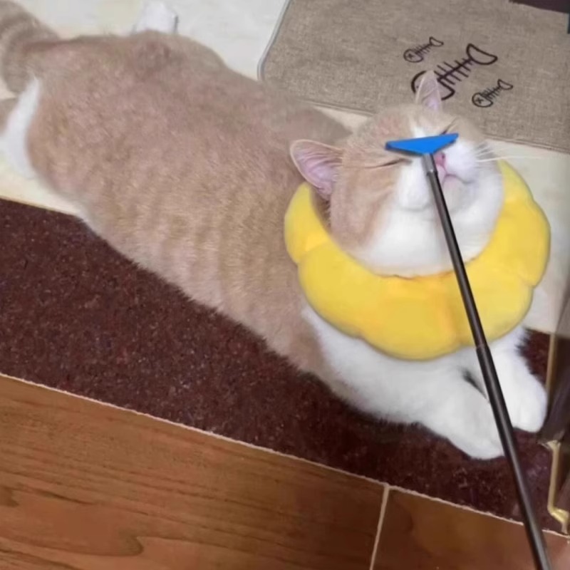 网红猫咪玩具可伸缩挠痒逗猫棒长杆按摩互动自嗨解闷神器猫咪用品详情4