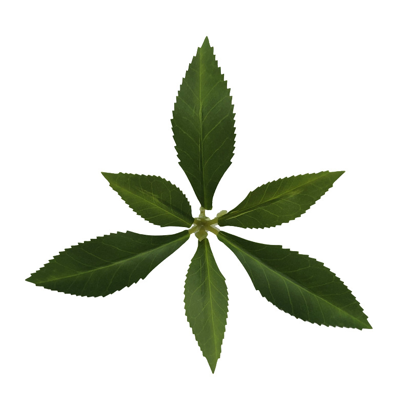 仿真植物马醉木绿植吊钟树叶工程园林造景家居装饰厂家批发马醉木详情9