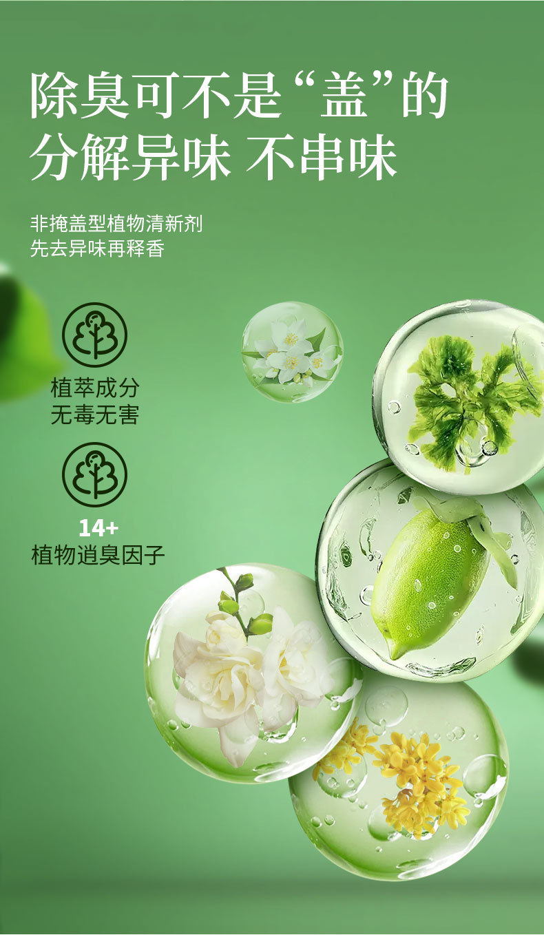 Green Island Solid Air Freshener 70g Indoor Fragrance, Toilet Deodorization and Odor Removal, Car Incense Box, Aromatherapy wholesale pic 8