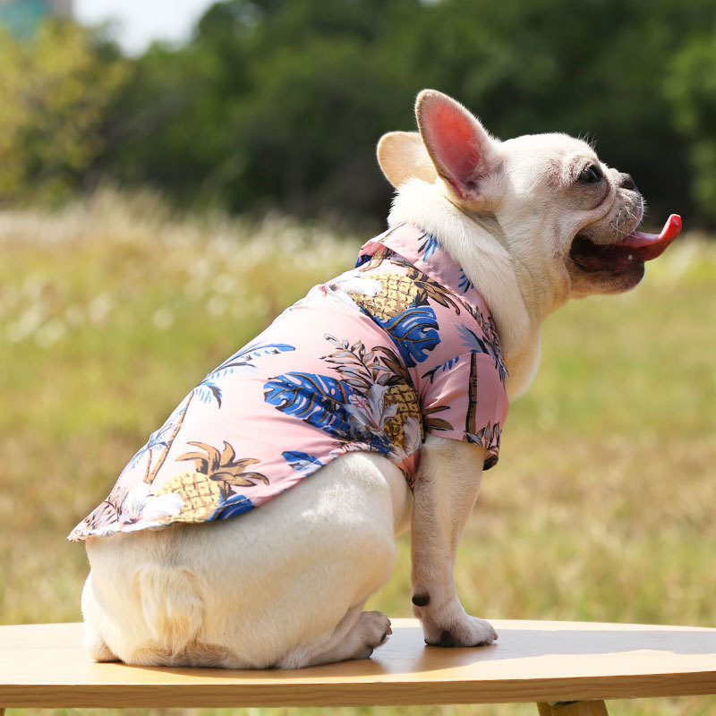 Pequeño y mediano perro playa piña camisa hawaii mascota perro gato golden hair primavera verano fino ropa artículos pic 16