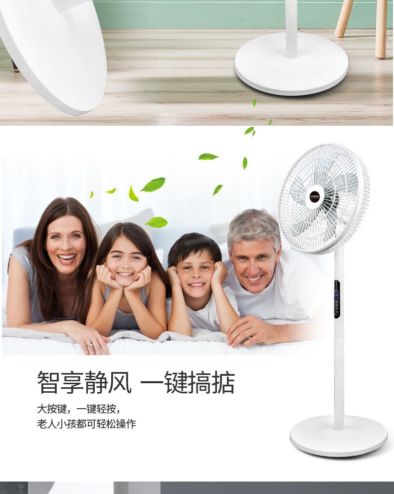 威力 16寸电风扇 家用落地式台式遥控风扇超静音定时礼品一件起批详情12