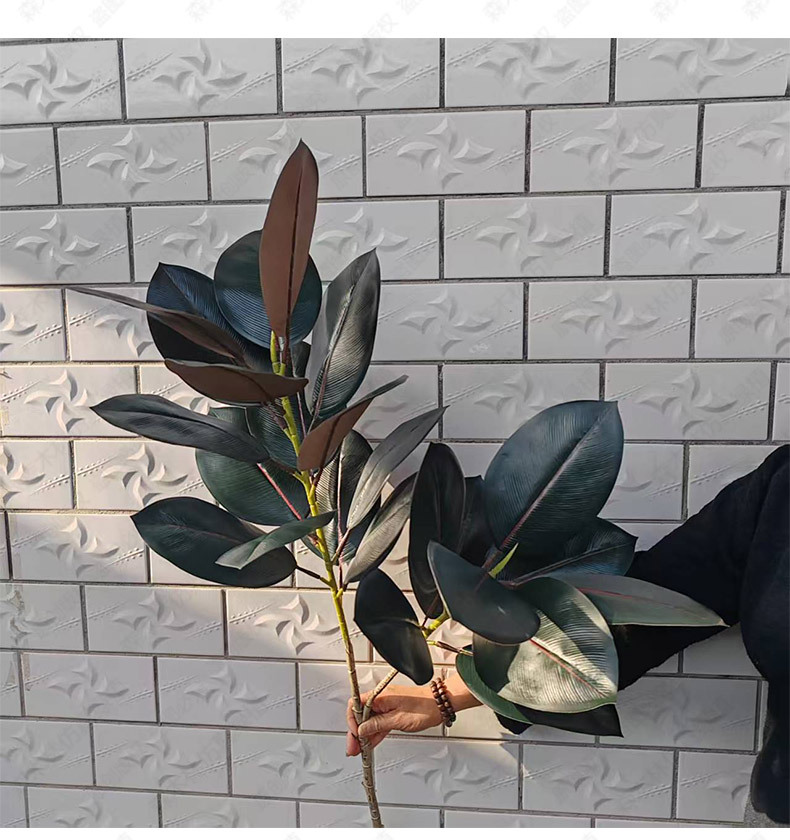 Wholesale of Nordic simulation green plants, rubber trees, black diamond, indoor floor-standing ornaments for living rooms, and plastic broad-leaved shrub decorations pic 5