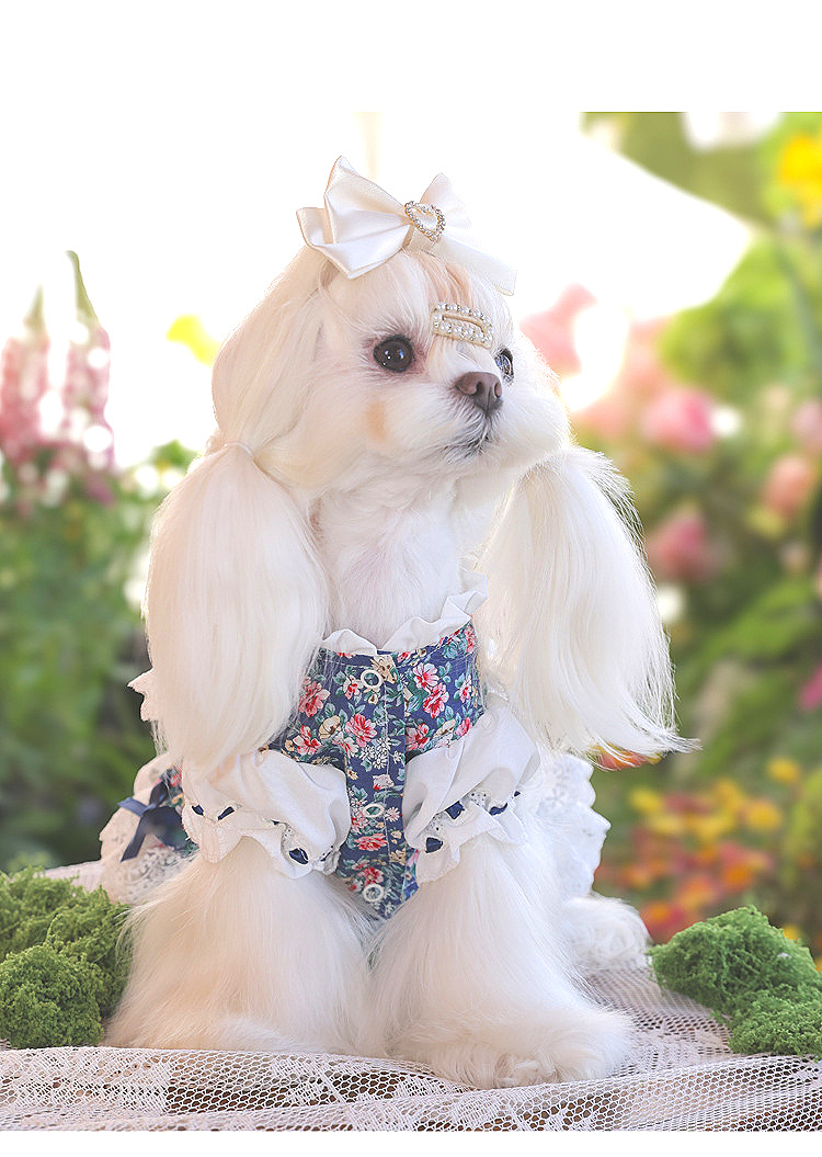 安贝妮高级感宠物衣服高定狗狗碎花泰迪小型犬茶话会小狗公主裙详情19