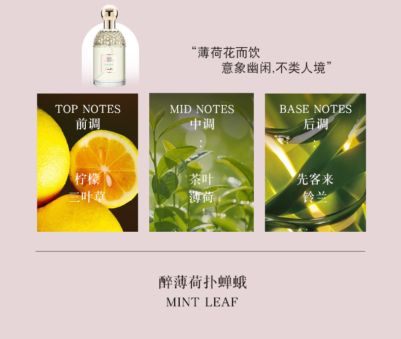 小城伊香品牌花草水语女士香水持久自然花果淡香学生平价香水批发男士香水六区香水香水玻璃瓶定製香水详情9