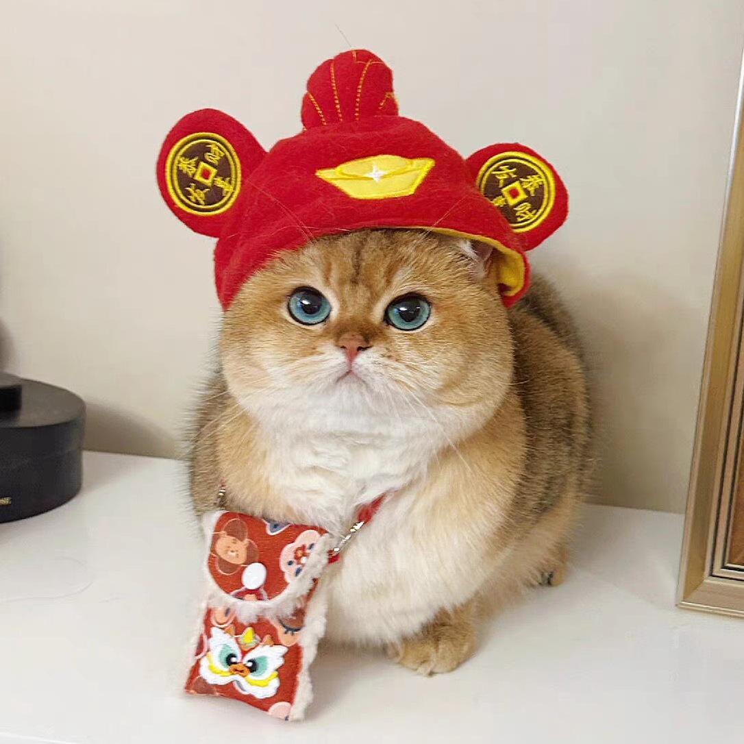 跨境宠物帽子装饰头套毛绒变装小狗狗猫咪比熊可爱拍照头饰搞怪详情10