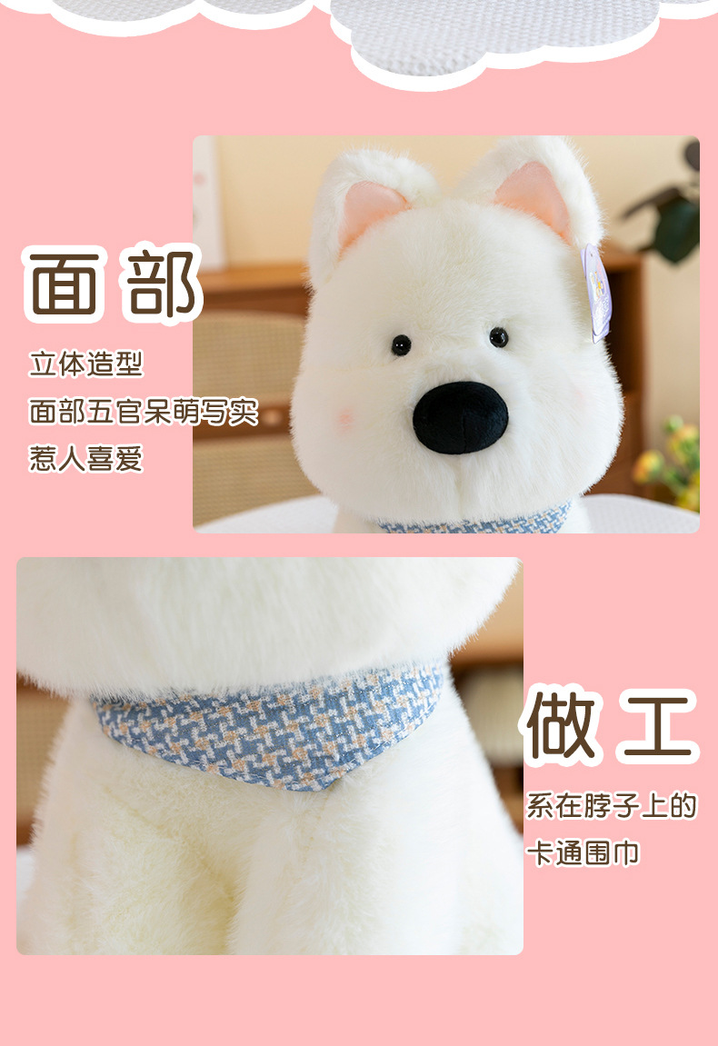 天猫_04.jpg