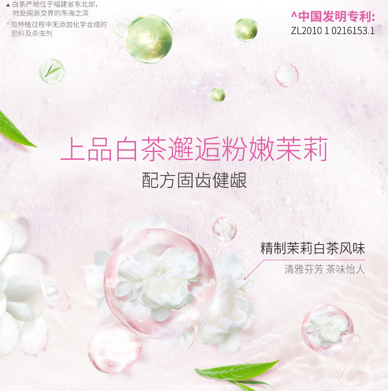 好来原黑人牙膏茶倍健茉莉白茶90g健康牙龈清新口气牙膏批发代发详情7