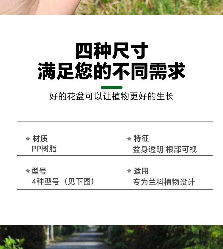 蝴蝶兰专用花盆空气柱透明青山盆特大号大口径塑料圆形桌面高花盆详情14