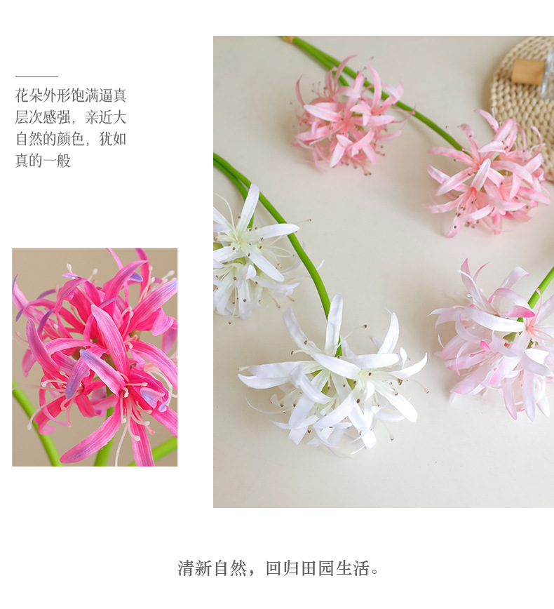 桔茉家居彼岸花摆件仿真曼珠沙华风雨兰摄影道具样板间装饰宠物园艺花盆容器详情23