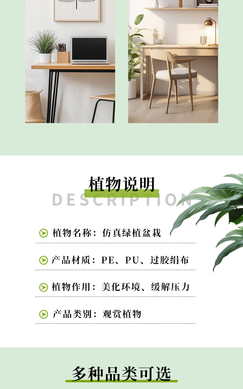 Gran nórdico planta de simulación sala de estar falsa plantación verde árbol de simulación plantación plantación de canna yuanhua maceta decoración de paisaje plantación verde simulada pic 11