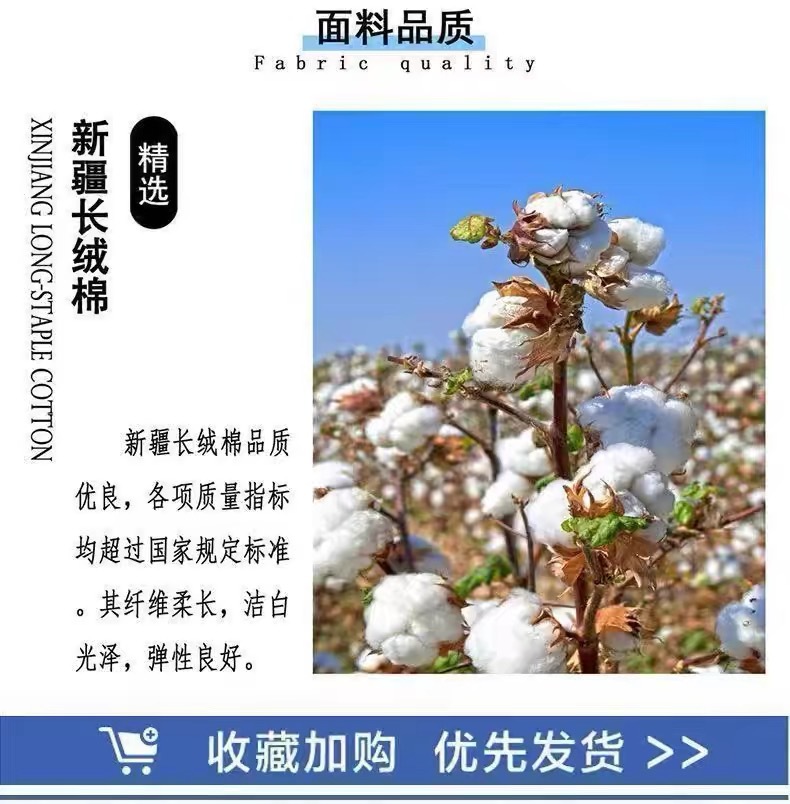 夏季新款100%纯棉短袖t恤女士洋气时尚大码百搭小众圆领宽松上衣详情3