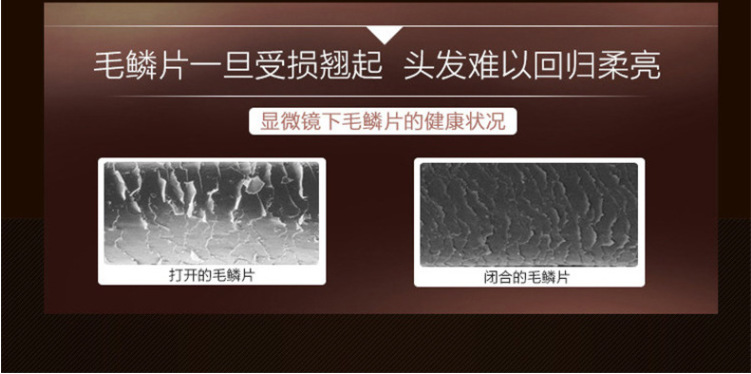 茶籽柔顺洗发露去屑止痒留香清洁头皮日用品家用洗发水代发批发详情10