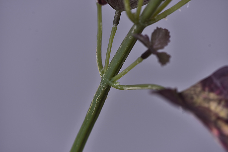 厂家直销仿真手感紫苏叶插花叶材仿真植物软装婚庆宴会造景美陈仿真植物1详情8