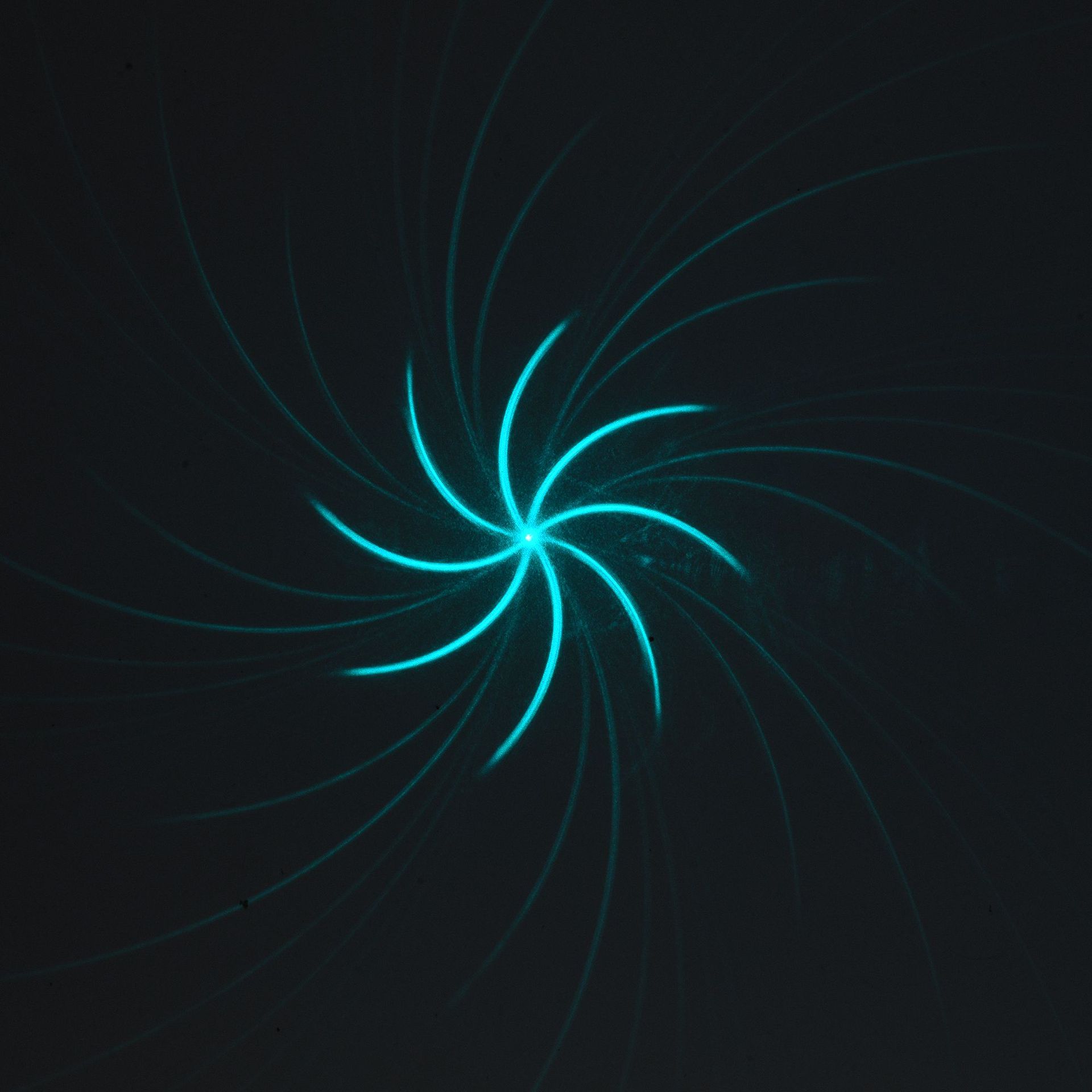 多功能激光灯钥匙扣绿光笔远射灯多图案满天星激光笔玩具登山扣详情11