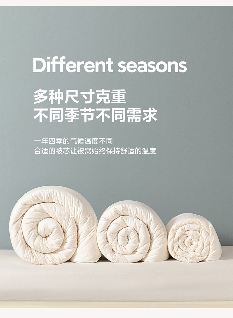 A类李官奇大豆纤维被子大豆被芯加厚冬被保暖冬季被芯春秋被批发详情24