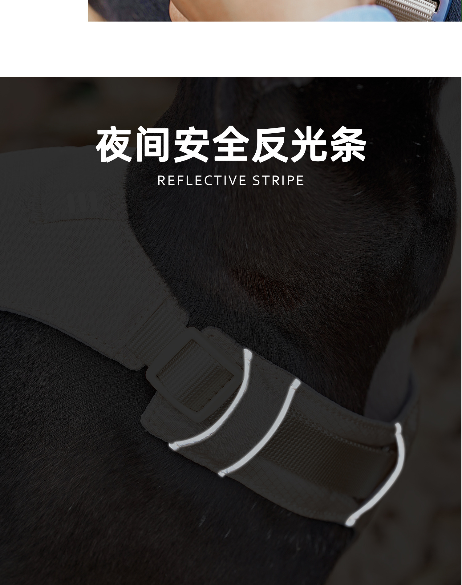 ZOOLAND狗狗胸背牵引绳遛幼小中大型犬泰迪柯基比熊边牧博美链子详情14