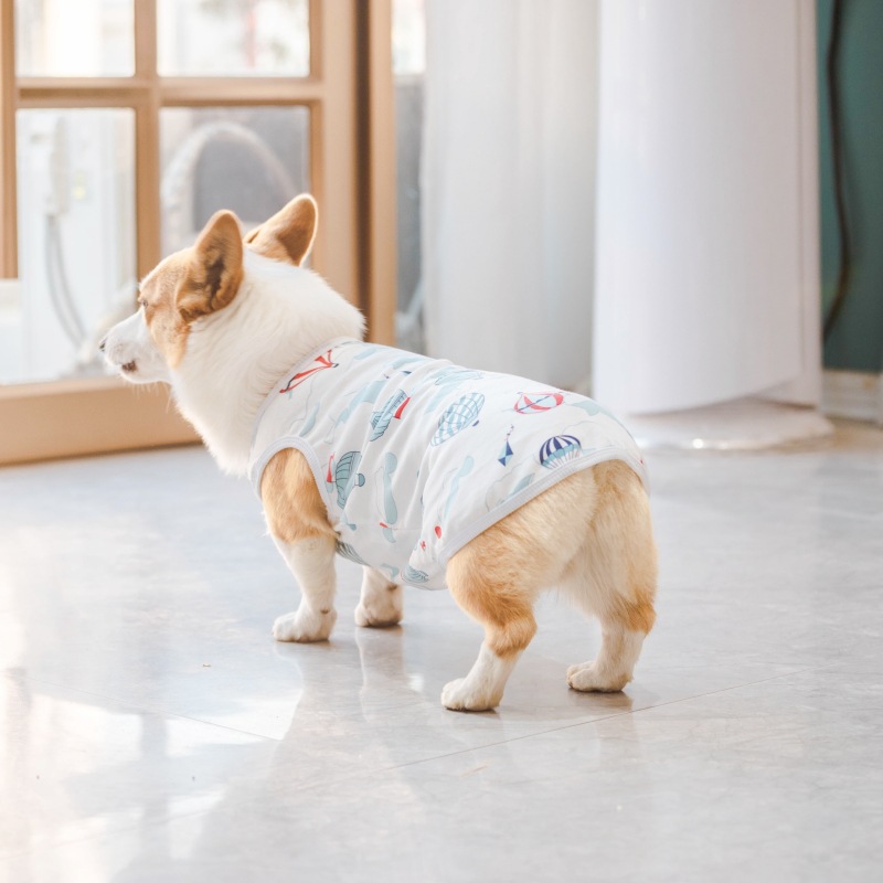 狗狗背心四季款宠物T恤可爱卡通狗狗服装印花中型犬幼犬现货批发详情24