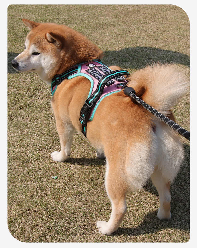 Cross-border dog leashes, anti-break large dog chest straps, reflective medium and large dog leashes, outdoor dog walking leashes pic 21