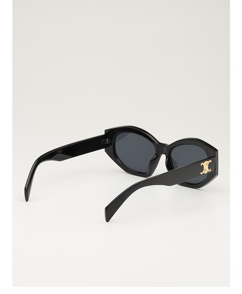 Retro triumph snow sunglasses for women, a new type of high-end oval angular sunglasses for sun protection and shading pic 10