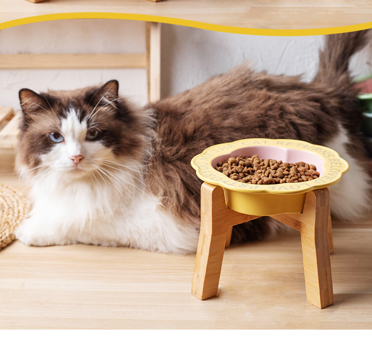 花边猫碗防黑下巴猫罐头食盆陶瓷狗粮碗猫咪防打翻喂水碗高脚木架详情5