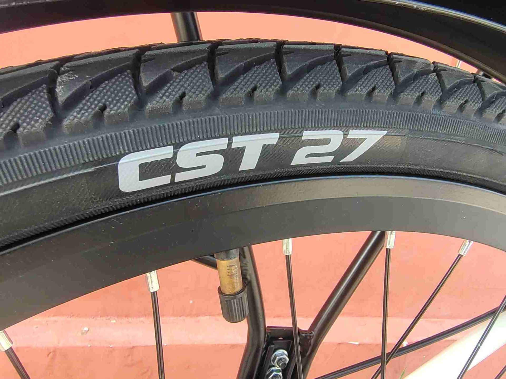 ebike电助力自行车电池淑女公主休闲旅行锂电助理新能源续航通勤详情4