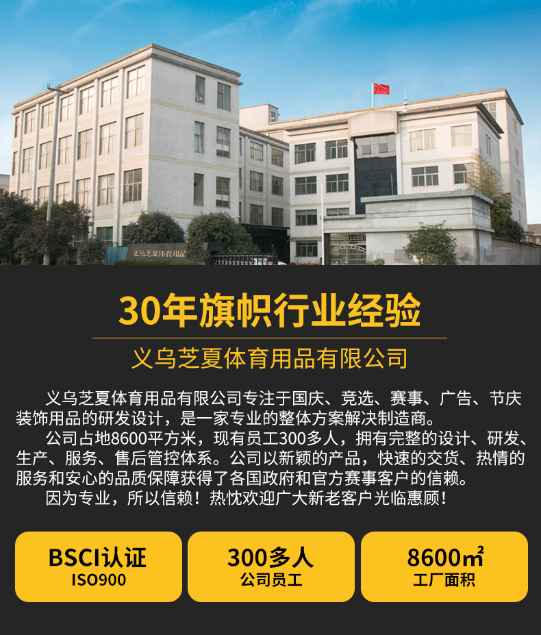 2026美加墨世界杯阿根廷手摇旗球迷围巾车盖套车镜套车旗助威道具详情3