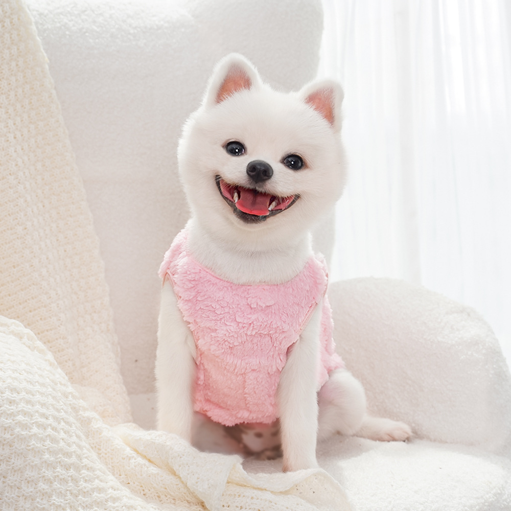 Ropa para perros invierno teddy by bears pomerania small dog mascotas otoño invierno plus peluche tracción peluche suministros para gatos pic 15