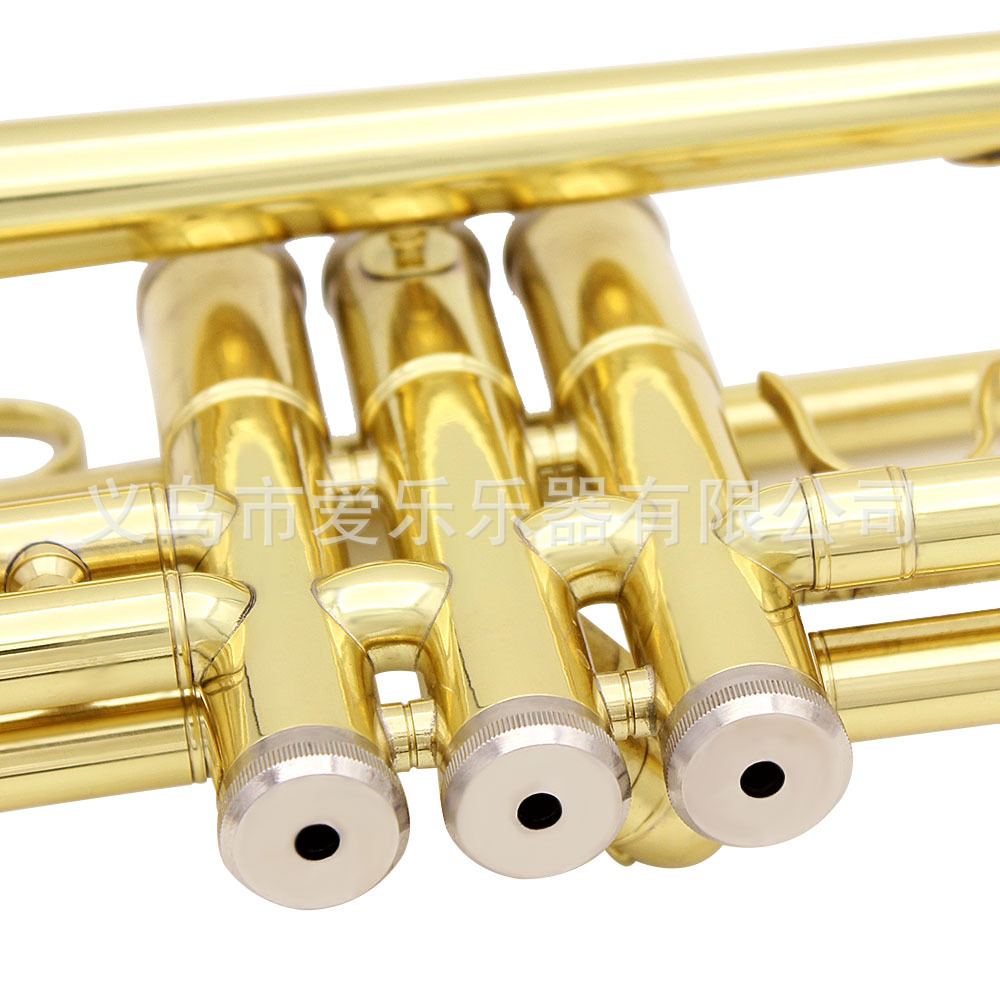 Student and adult performance of Trumpet, a brass trumpet in B-flat pic 18
