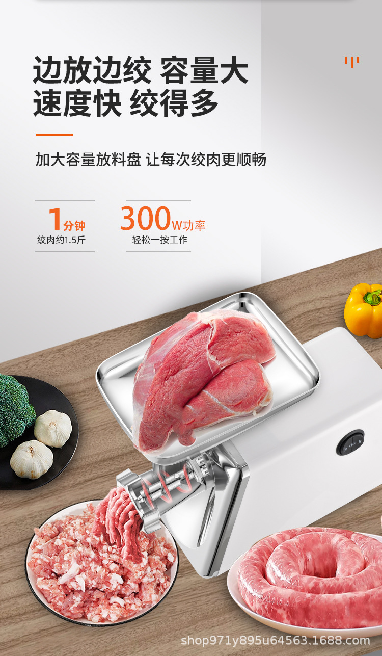 供应跨境多功能英规绞肉机家用全自动辅食肉陷料理机搅拌绞碎肉机详情4