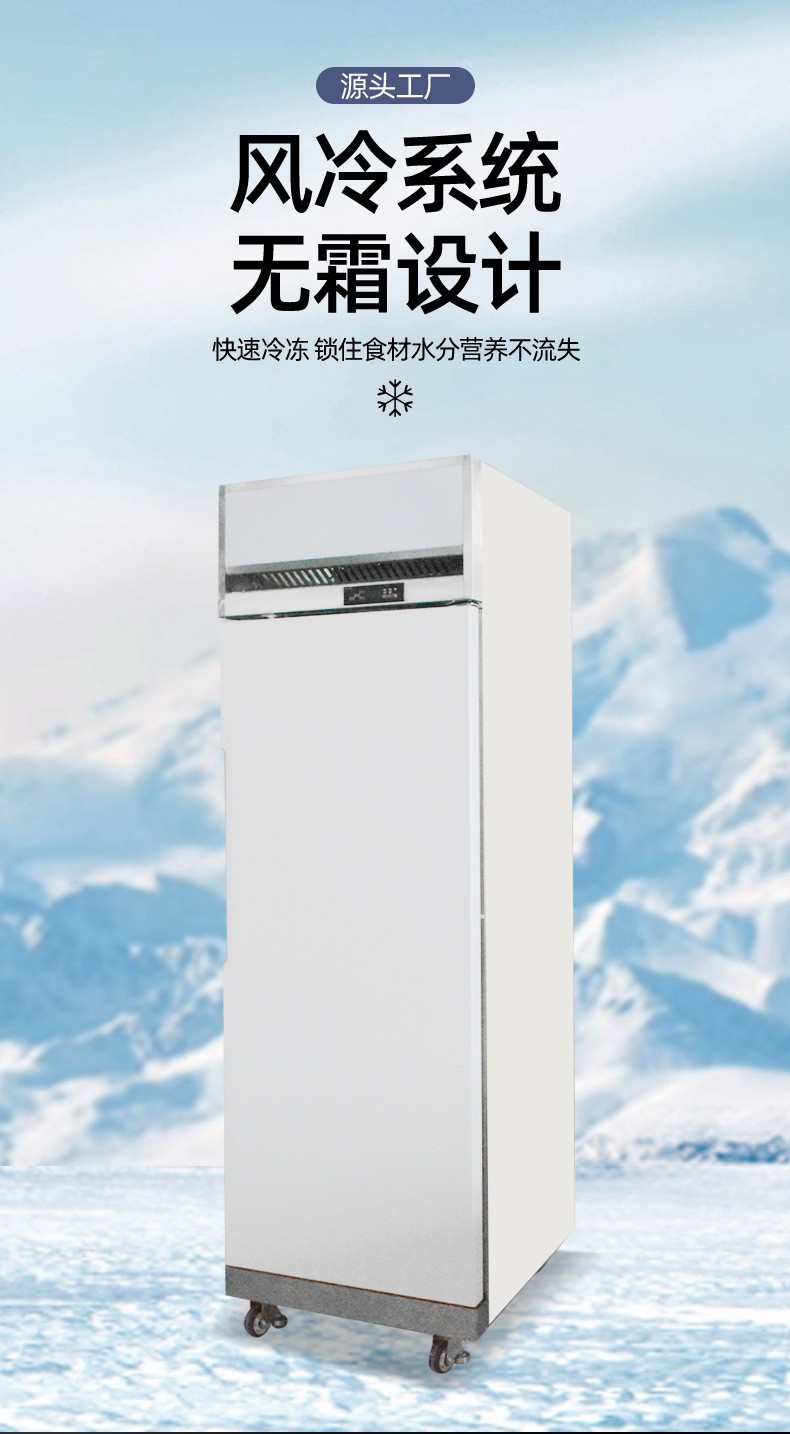 商用立式风冷插盘柜两门四门不锈钢烘焙面团冷藏冷冻保鲜冰柜批发详情3