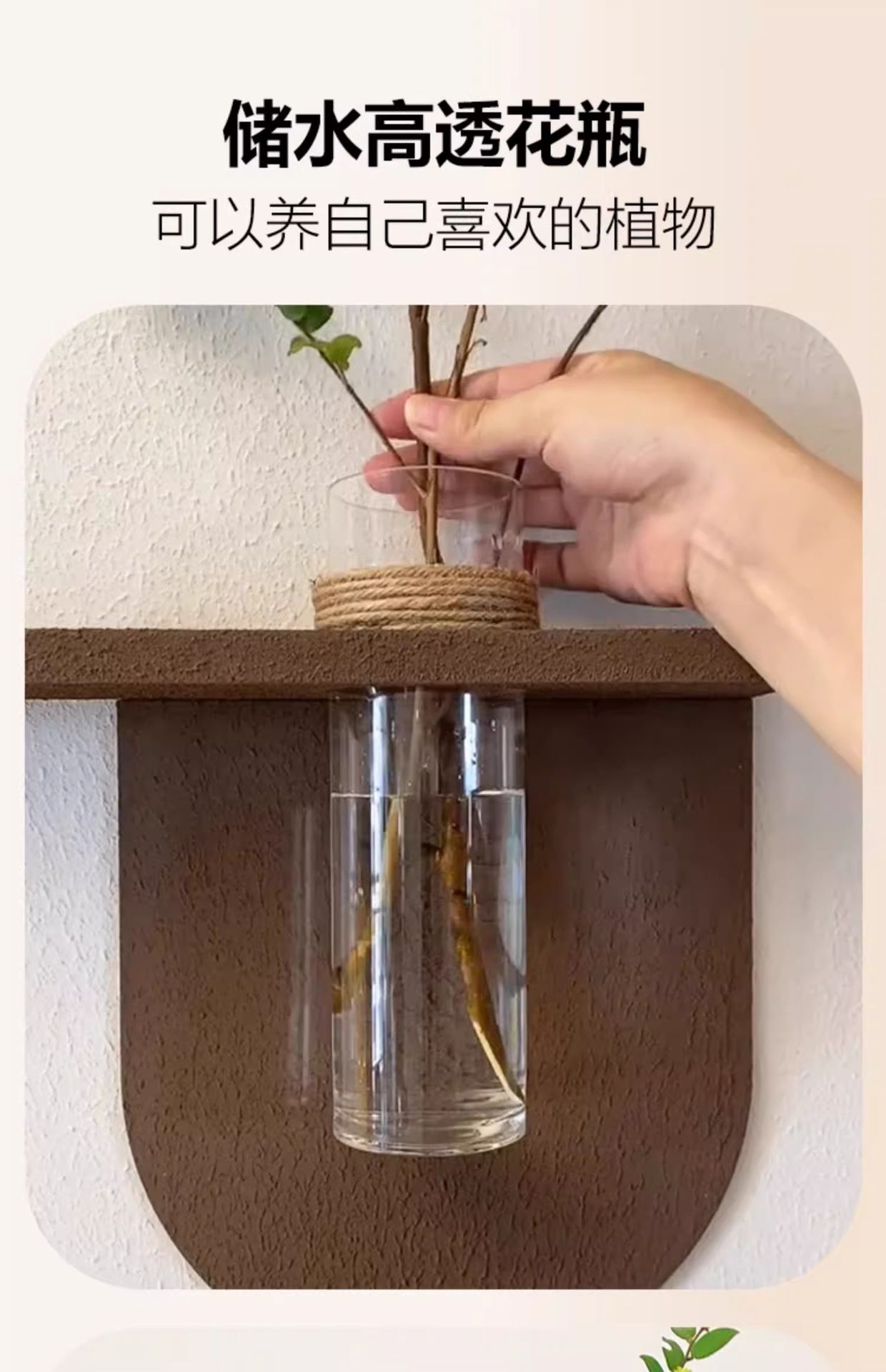 DIY餐厅装饰画奶油风客厅立体水培绿植壁画高级感砂岩肌理感挂画详情17