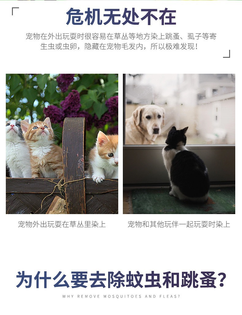 Essential oil collar for summer cross-border mosquito and flea prevention, pet products for cats and dogs, mosquito and insect repellent adjustment collar pic 3