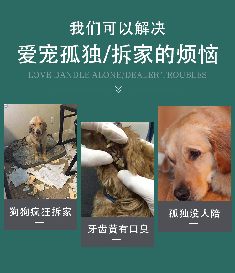 Factory direct sales of pet teething training, interactive biting dog plush toys, Oxford cloth reflective training sticks pic 4