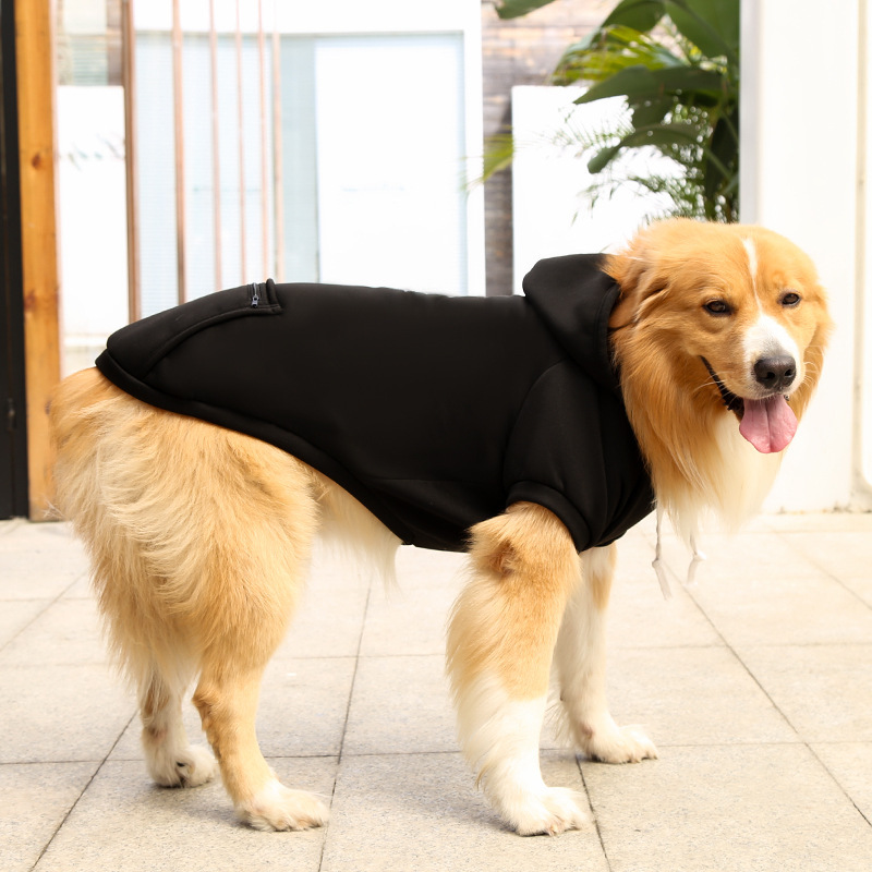 Otoño e invierno peluche de oro cremallera de bolsillo sudaderas grandes y medianas para perros perros ropa de gato fardo suministros para mascotas pic 11