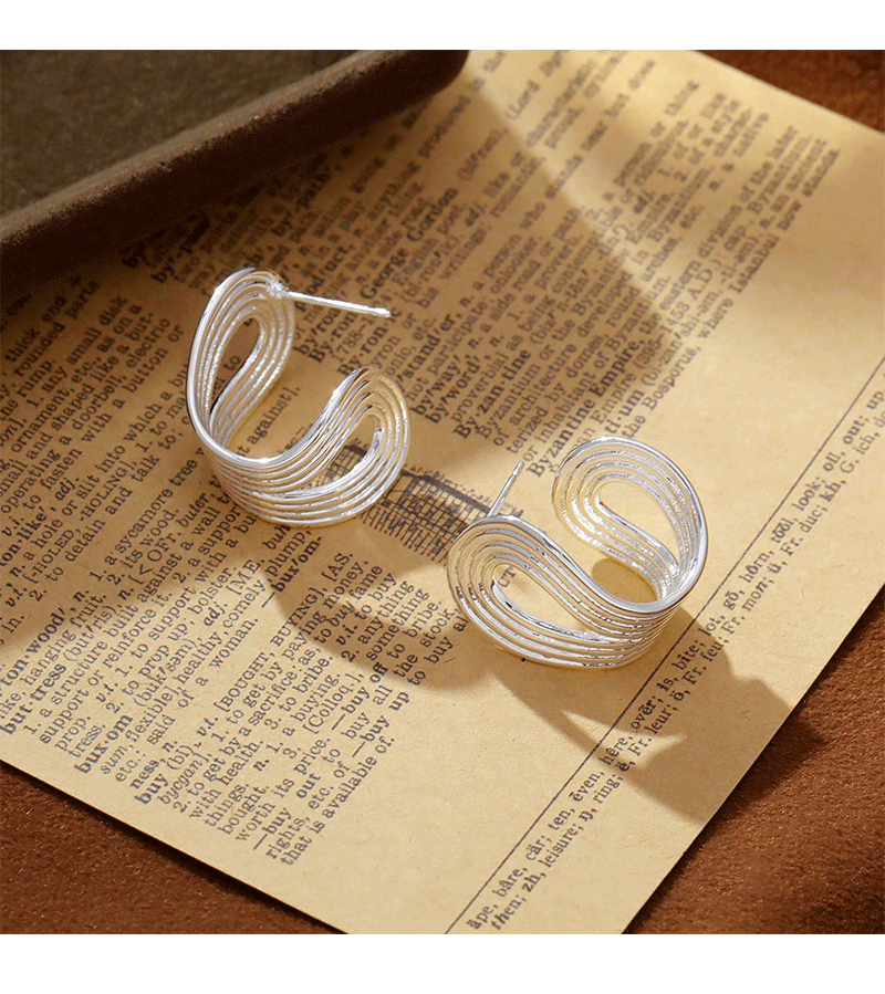 Hyacinth时髦个性港风金属冷淡风耳环2025年新款潮耳饰小众简约气质耳饰品详情5