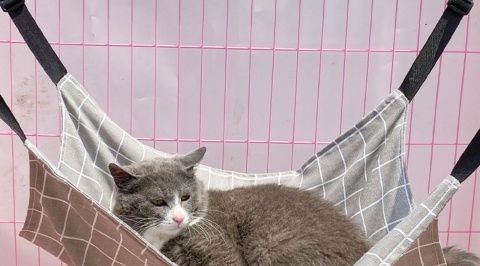Factory pet supplies canvas cat cages, hammocks with fleece hanging, adjustable length, pet cat hanging beds pic 13