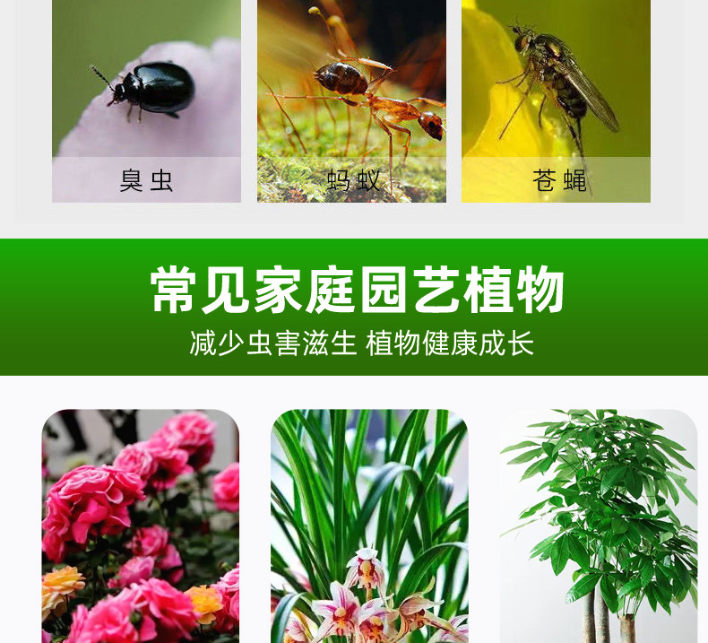 杀虫水乳剂批发绿植月季多肉花草除虫喷雾灭小飞虫药500ml杀虫剂详情8
