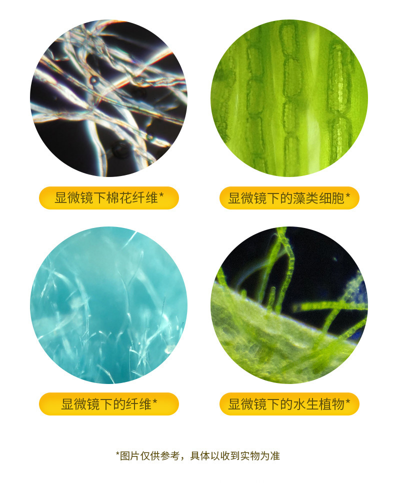 便携式儿童显微镜玩具小学生科学实验玩具套装机构流行套餐批发详情11