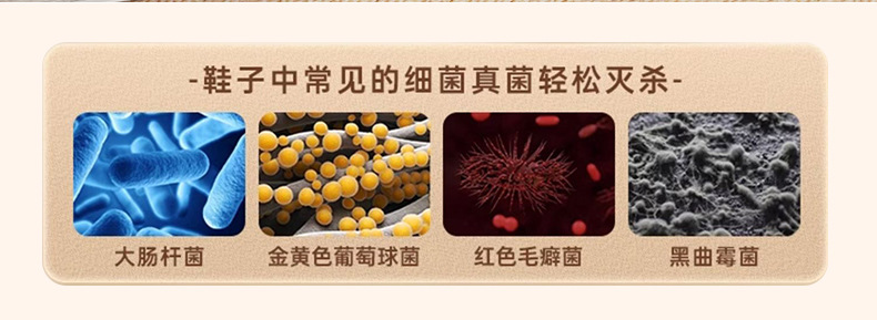 Cross-border foreign trade electric shoe dryer, shoe dryer, deodorizing and sterilizing, folding shoe dryer, household shoe dryer, shoe drying machine new model P52 pic 18