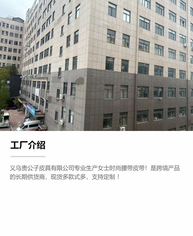 2025Wish跨境bling水钻腰带女装饰时尚亮片满钻气眼鸡眼牛仔裤带详情1