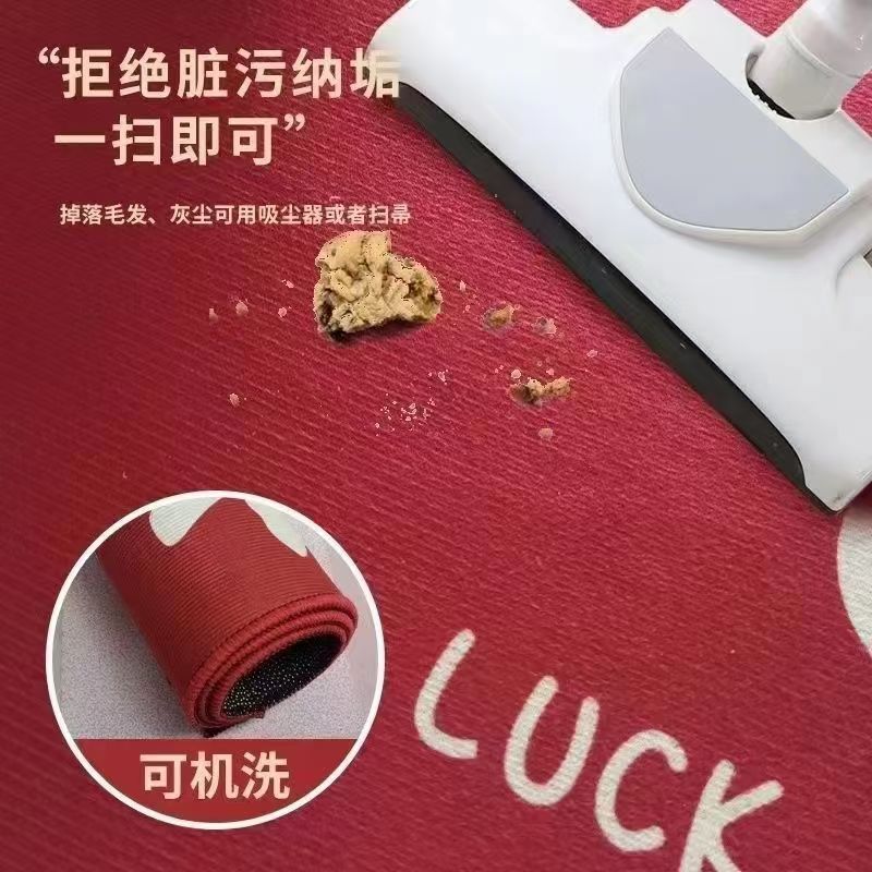 入户门地垫进门高级感脚垫门口垫子入户门地垫家用高端耐脏大地毯详情2