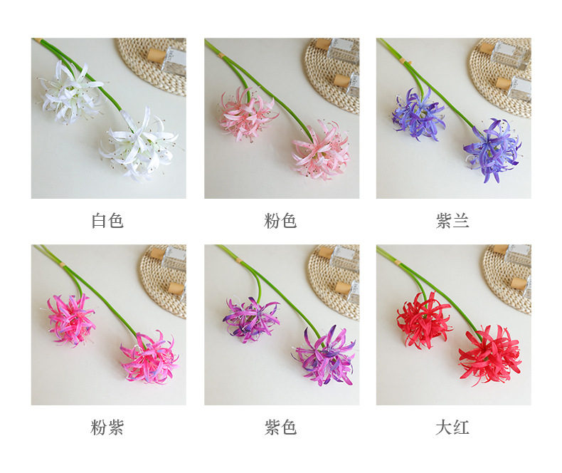 桔茉家居彼岸花摆件仿真曼珠沙华风雨兰摄影道具样板间装饰宠物园艺花盆容器详情17