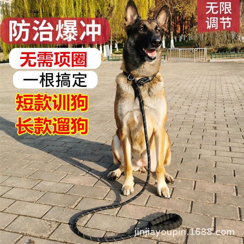 Pet dog leash chain supplies, P-chain dog walking leash, explosion-proof p leash, medium and large-sized golden Retriever pic 12