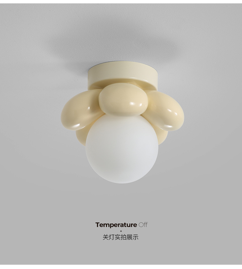 过道灯走廊简约创意奶油风花朵装饰浪漫温馨卧室床头灯玄关吸顶灯详情8