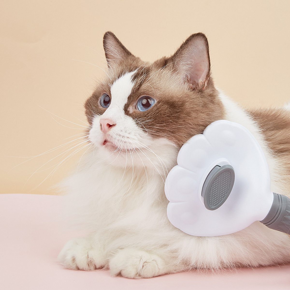 Cross-border best-selling cat combs that are easy to shed and do not tangle. Direct supply of cat floating hair combs from the manufacturer. Pet cleaning products pic 21