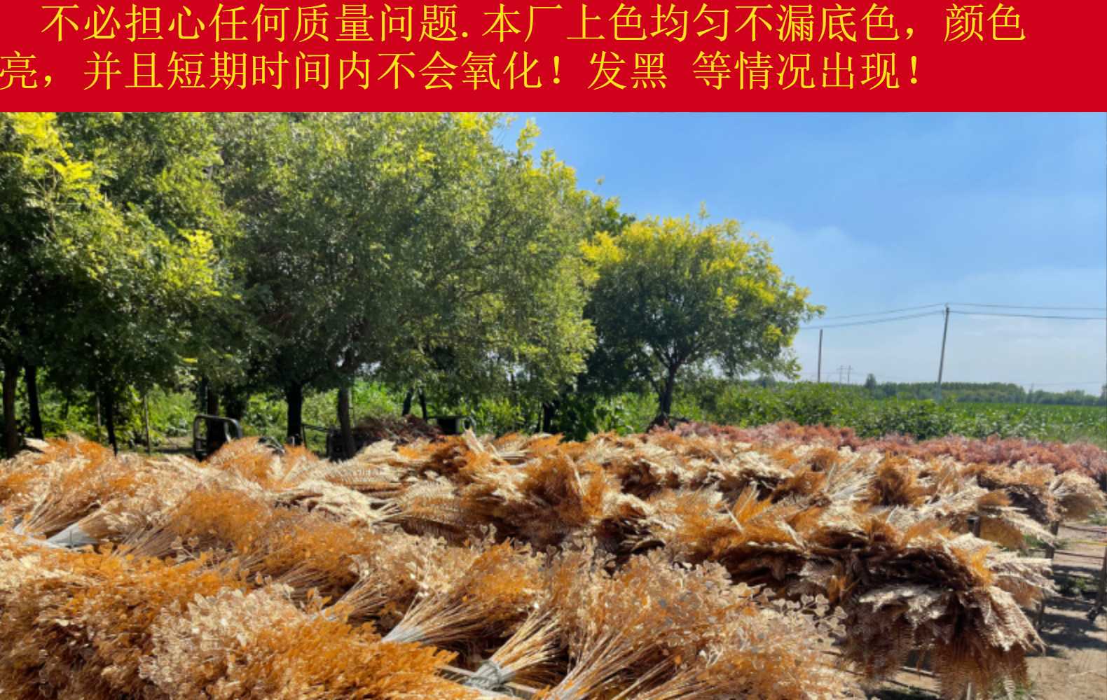 红果果仿真花福桶diy插花仿真冬青果新年装饰花年宵花批发详情5