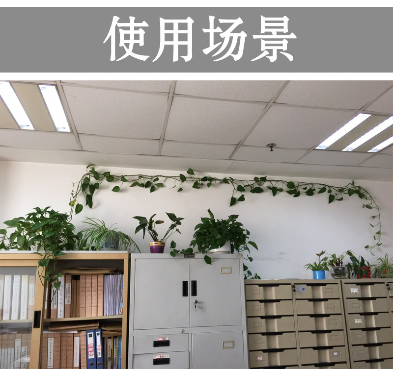 描述图_21.jpg