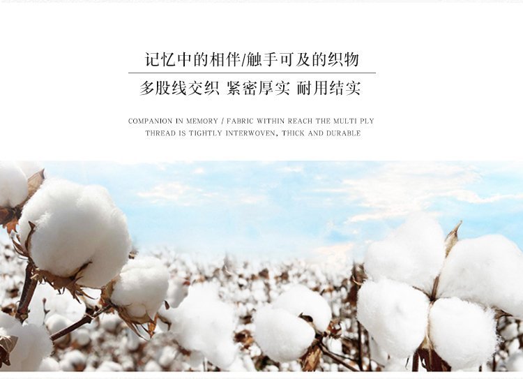 大容量帆布包简约潮搭女包新款韩版手提休闲包都市丽人单肩斜挎包详情7