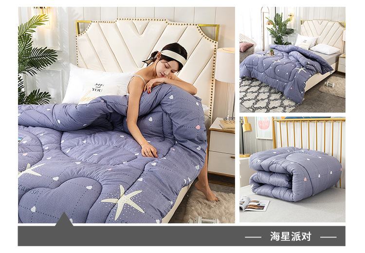 Wholesale of spring and autumn quilts, thickened and warm winter quilts, and single and double student winter quilts for all four seasons pic 21